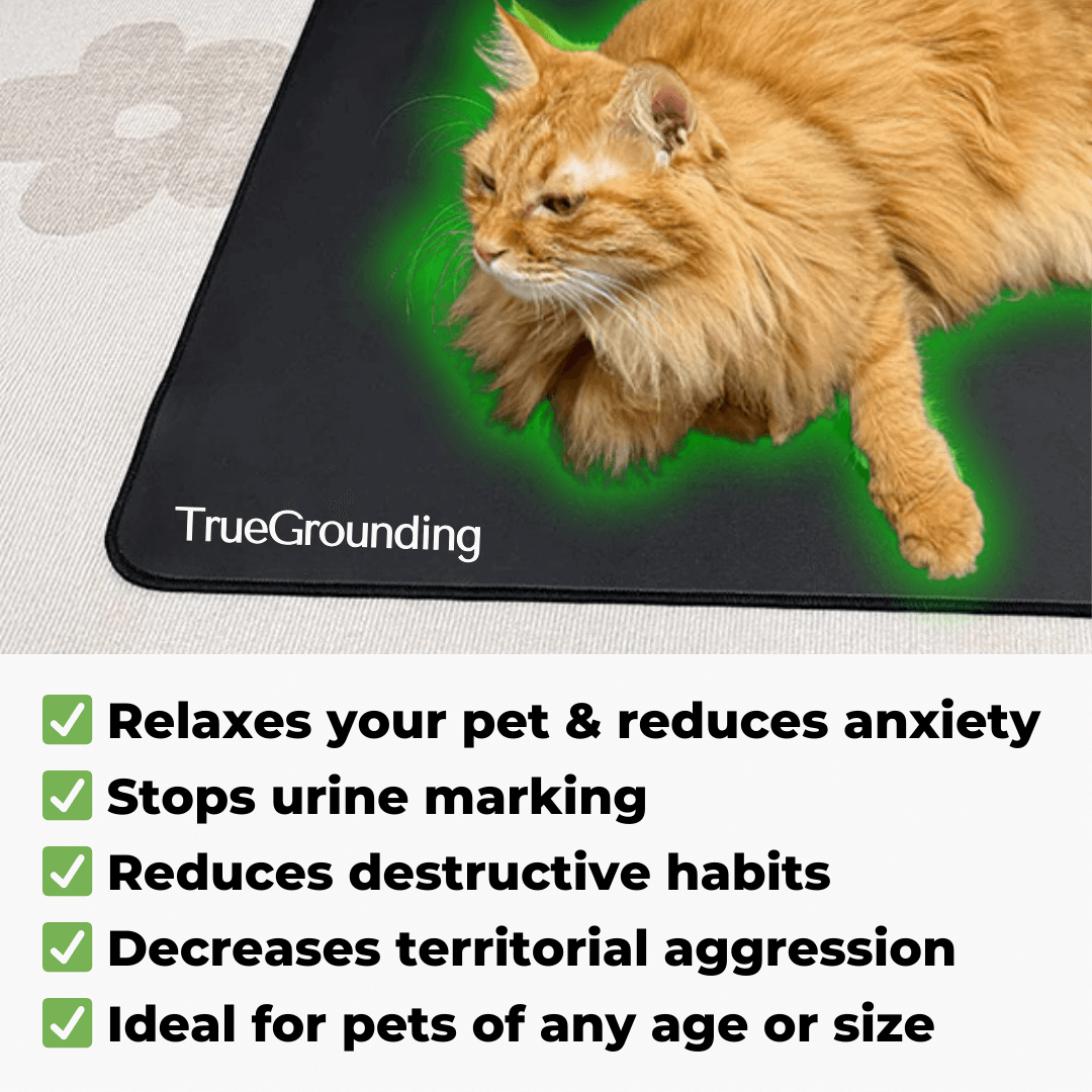 Tapete para mascotas TrueGrounding™