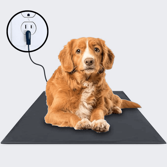 Tapete para mascotas TrueGrounding™