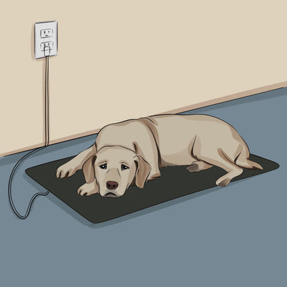 Tapete para mascotas TrueGrounding™